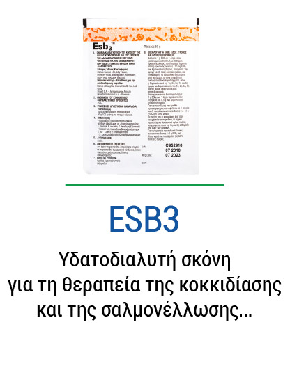 esb3
