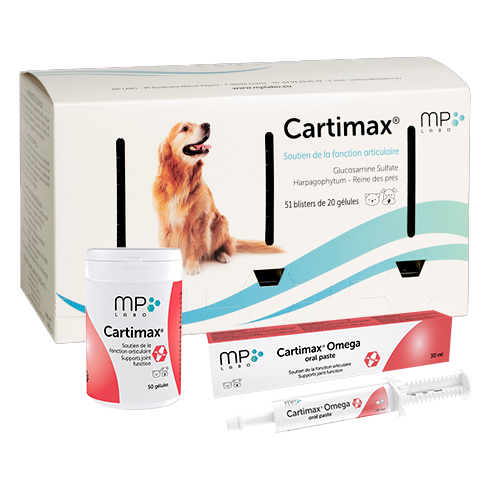 Cartimax